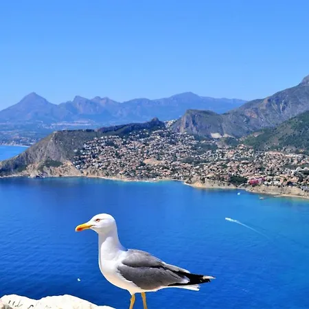 Aplayamar7 Apartment *