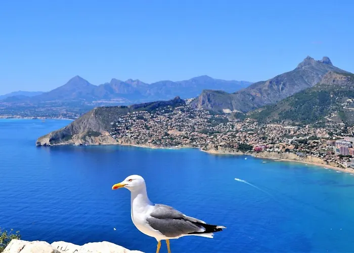 Aplayamar7 Lägenhet *